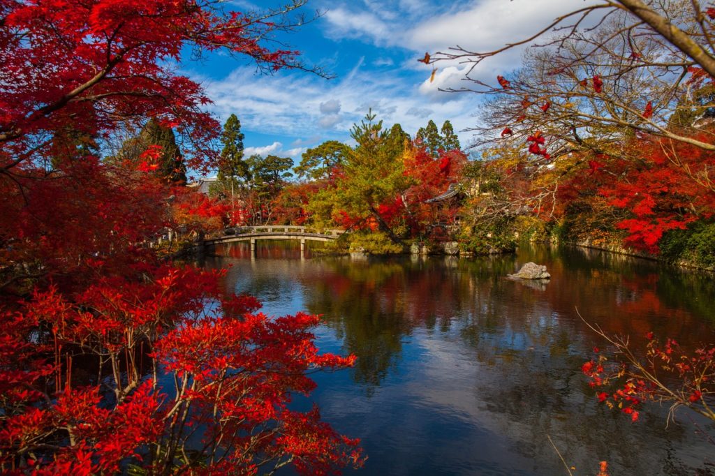 In autumn, take advantage of your Japan Rail Pass to visit Kyoto and enjoy a scenery of colors due to the change of color of the leaves.
